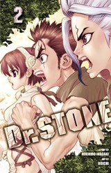 Dr. STONE, Vol. 2 - Riichiro Inagaki - 9781974702626