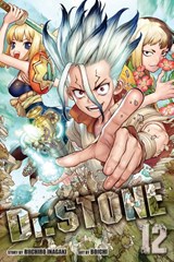 Dr. STONE, Vol. 12 - Riichiro Inagaki - 9781974715299