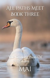 All Paths Meet - Book Three