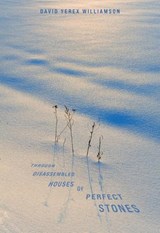 Through Disassembled Houses of Perfect Stones - David Williamson - 9781988168609