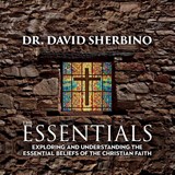 The Essentials - David Sherbino - 9781988928579