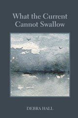What the Current Cannot Swallow - Mary Simmerling - 9781997737056