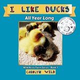 I Like Ducks - Carolyn Wild - 9781998062003