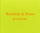 Joan Snyder - LIERBEMANN,  Rhonda - 9781999596224
