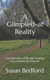 A Glimpsed-at Reality