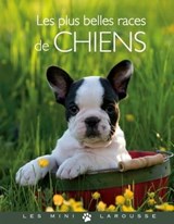 Les plus belles races de chiens - Brigitte Bulard-Cordeau - 9782035878830