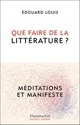Que faire de la littérature ? - Edouard Louis - 9782080431738