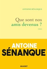 Que sont nos amis devenus ? - Antoine Sénanque - 9782246823551