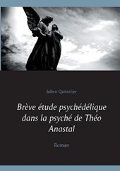 Breve etude psychedelique dans la psyche de Theo Anastal
