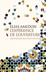 L'expérience de l'ouverture - Méditations sur l'éveil non duel - Elias Amidon - 9782351187791