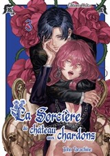 La sorcière du château aux chardons - Tome 3 - John Tarachine - 9782382129517