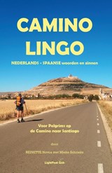 Camino Lingo - Nederlands - Spaanse Woorden En Zinnen taalgids - Reinette Novoa ; Mieke Schrieks - 9782917183366