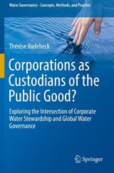 Corporations as Custodians of the Public Good? - Therese Rudebeck - 9783030132279