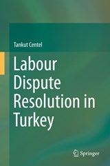 Labour Dispute Resolution in Turkey - Tankut Centel - 9783030282141