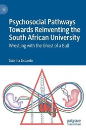 Psychosocial Pathways Towards Reinventing the South African University