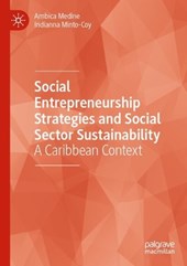 Social Entrepreneurship Strategies and Social Sector Sustainability