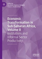 Economic Transformation in Sub-Saharan Africa, Volume II - Ayodotun Stephen Ibidunni ; Evans S. Osabuohien - 9783031778162