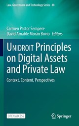 UNIDROIT Principles on Digital Assets and Private Law - Carmen Pastor Sempere ; David Amable Moran Bovio - 9783032110008