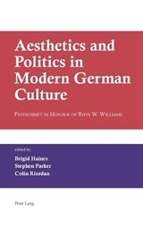Aesthetics and Politics in Modern German Culture - Brigid Haines ; Stephen Parker ; Colin Riordan - 9783039113552