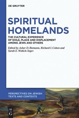 Spiritual Homelands - Asher D. Biemann ; Richard I. Cohen ; Sarah Wobick-Segev - 9783110777468