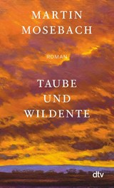 Taube und Wildente - Martin Mosebach - 9783423148894
