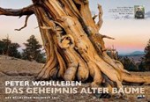 Wohlleben, P: Baumleben-Kalender 2020