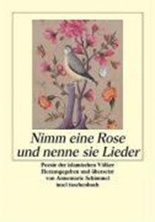 Schimmel, A: Rose