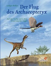 Der Flug des Archaeopteryx