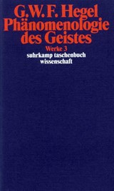 Phänomenologie des Geistes - Georg Wilhelm Friedrich Hegel - 9783518282038