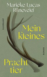 Mein kleines Prachttier - Lucas Rijneveld - 9783518473160