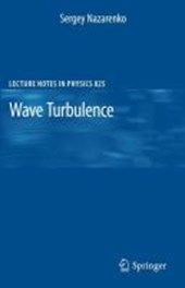 Wave Turbulence