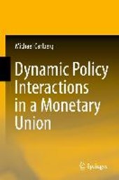 Dynamic Policy Interactions in a Monetary Union