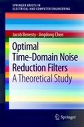 Optimal Time-Domain Noise Reduction Filters
