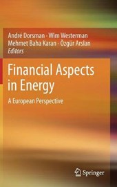 Financial Aspects in Energy