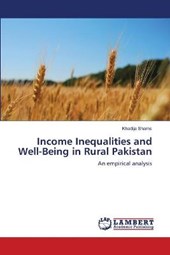 Income Inequalities and Well-Being in Rural Pakistan