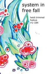 System in Free Fall - Heidi Trimmel - 9783695135622