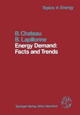 Energy Demand: Facts and Trends - B. Chateau ; B. Lapillonne - 9783709186411