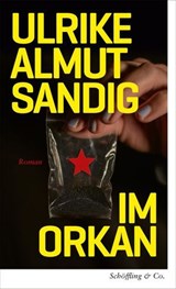 Im Orkan - Ulrike Almut Sandig - 9783731700395