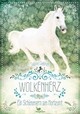 Wolkenherz - Ein Schimmern am Horizont - Sabine Giebken - 9783734802089