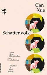 Schattenvolk - Can Xue - 9783751809801