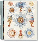 The Art and Science of Ernst Haeckel - Julia Voss ; Rainer Willmann - 9783754406106