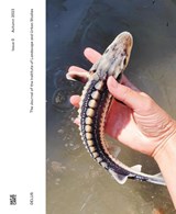 DELUS: The Journal of the Institute of Landscape and Urban Studies -  - 9783775756365