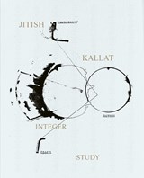 Jitish Kallat - Integer Study -  - 9783775759373