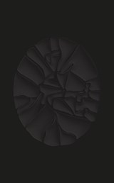 Haegue Yang. The Great Forgetfulness - Fergal Gaynor ; Haegue Yang - 9783775762625