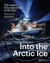 Into the Arctic Ice
