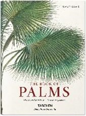 von Martius. The Book of Palms