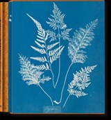 Anna Atkins - Peter Walther - 9783836596039