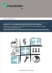 Bierwisch, A: Patente in Innovationskooperationen