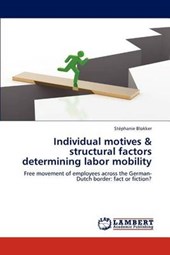 Individual motives & structural factors determining labor mobility
