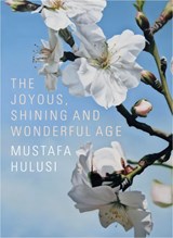 Mustafa Hulusi - Norman Rosenthal ; Sotiris Kyriacou ; Sacha Craddock - 9783863350673